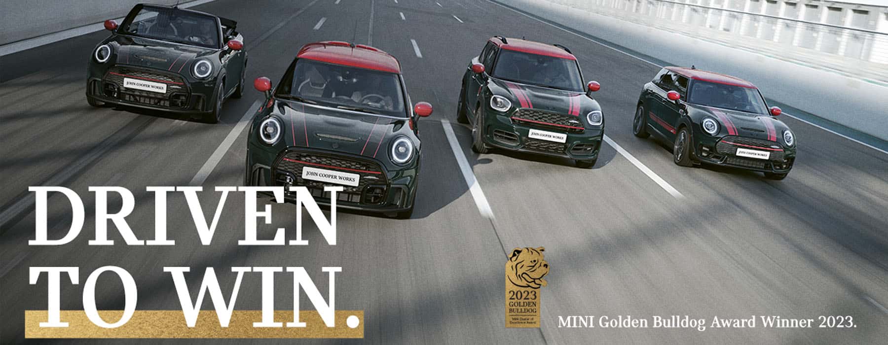 SouthShoreMINI_DrivenToWin_GoldenBullDogWinner_4-23