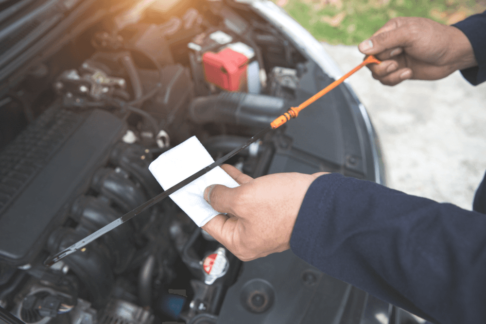 Checking Car Oil