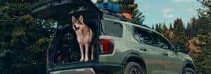 2026 Honda Passport