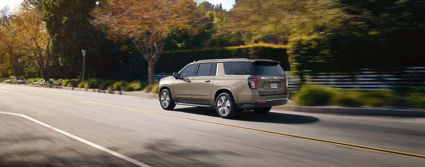A tan 2022 Chevy Suburban is shown from the rear driving on a suburban street.