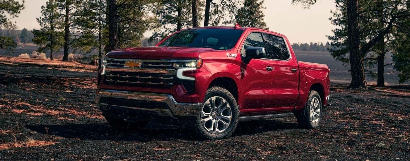 A red 2023 Chevy Silverado 1500 Z71 parked off-road in a forest and angled left.