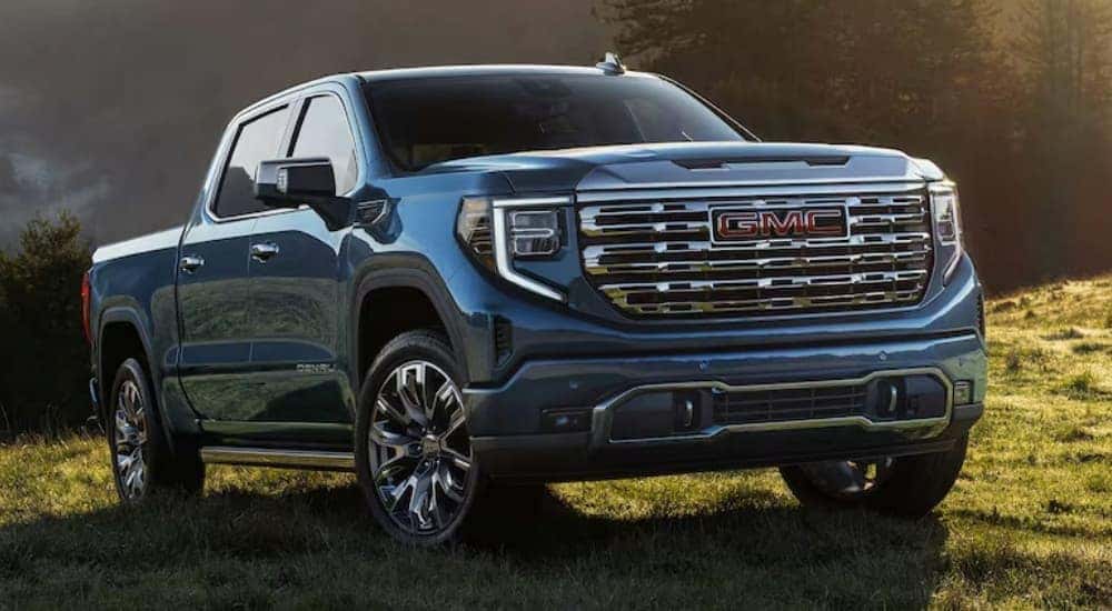 A blue 2025 GMC Sierra 1500 Denali parked on grass